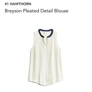 41 Hawthorne - Breyson Pleated Blouse